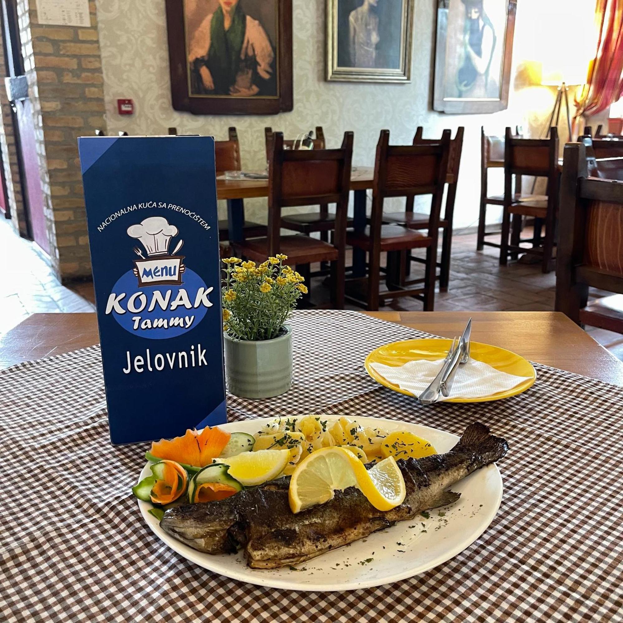 Hotel Konak Tammy Platicevo - Šabac Exterior foto